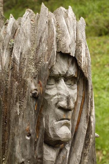 Wooden sculpture by the artist Toni Reinstadler from Sulden on the Wurzelweg