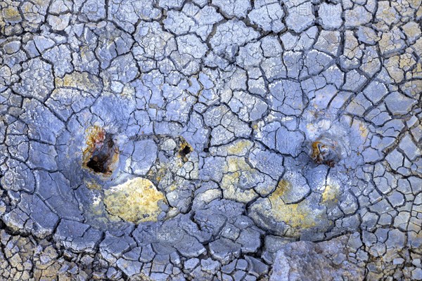 Colourful dried mud at Hengill Geothermal Area