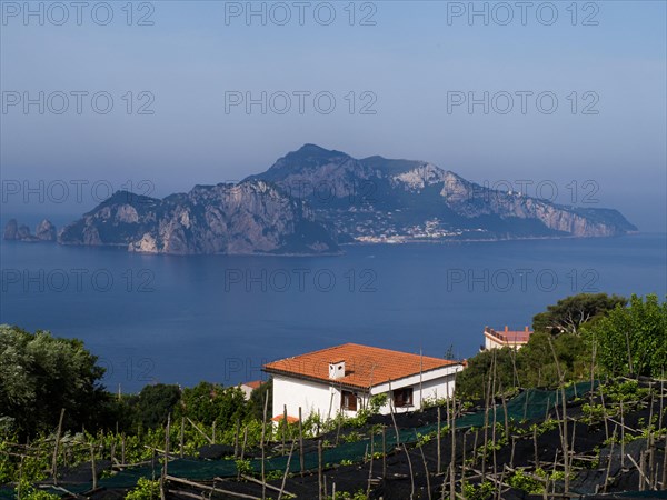 Island of Capri