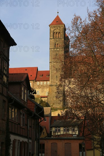 Schlossberg with Collegiate Church of St. Servatius