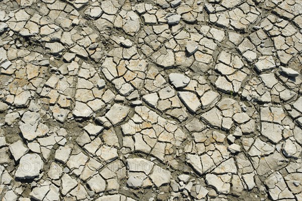 Cracks in the dry soil in the mudflats