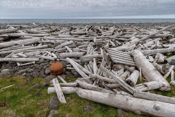 Driftwood