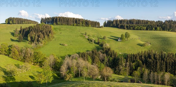 Lonely farmhouse in hilly landscape