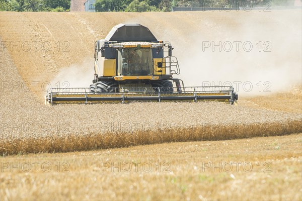 Threshing of grain with combine harvester at Ystad