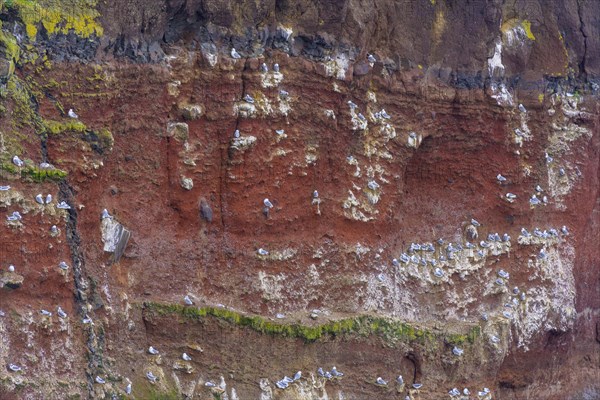 Red coloured Krisuvikuberg cliffs