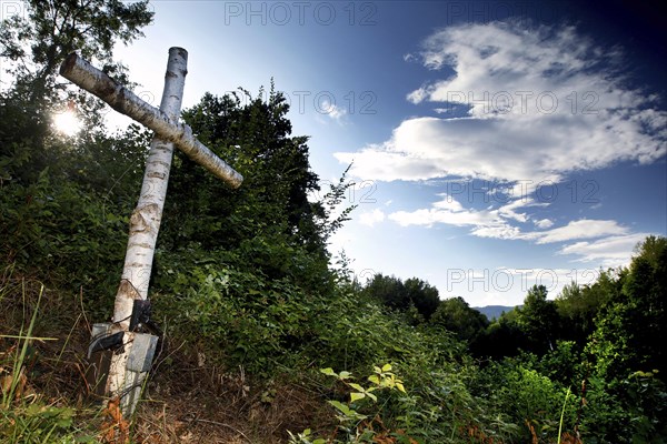 Birch cross