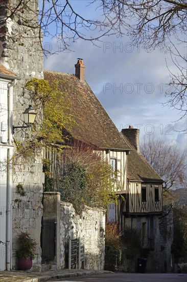 Half-timbered houses in the Rue Saint-Thibault