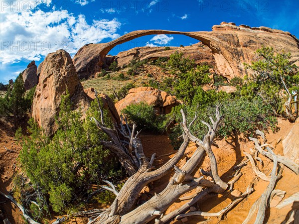 Landscape Arch