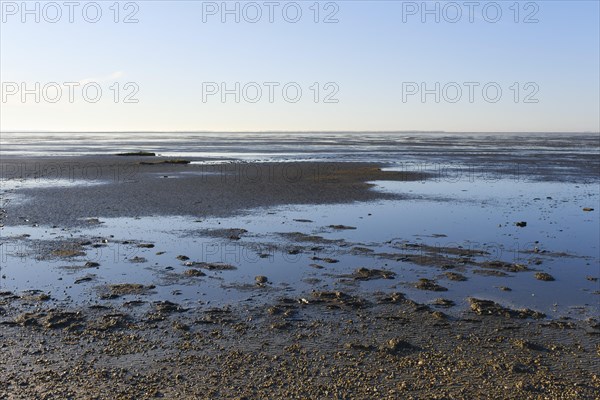 Low tide on the North Sea coast