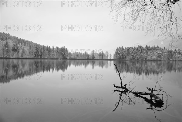 Lake with reflection in winter black and white