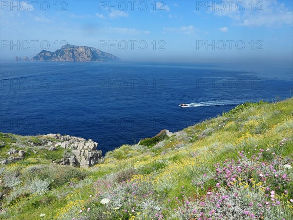 Isle of Capri