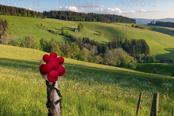 Lonely farmhouse in hilly landscape