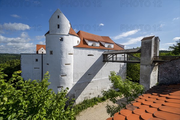 Wildenstein Castle