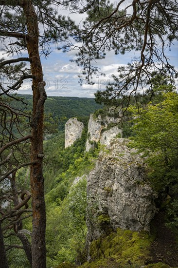 Limestone rocks