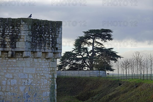 City wall