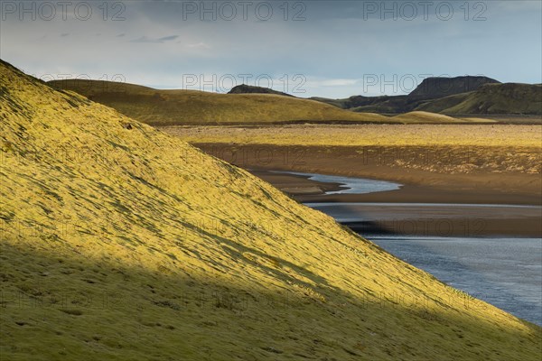 Mossy hills