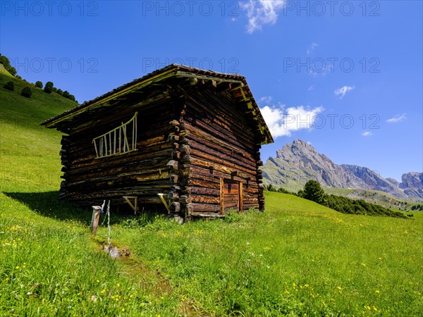 Alpine hut