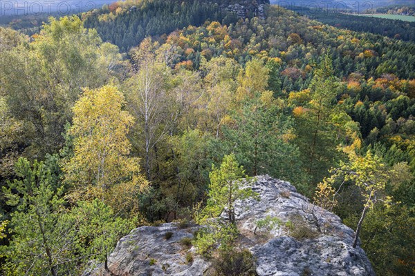 View from Papststein