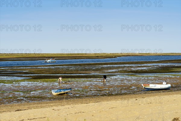 Ria Formosa during low tide with boats and people gathering the seafood