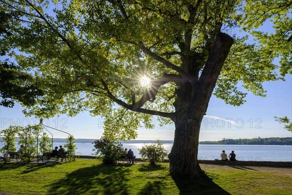 Lakeside promenade