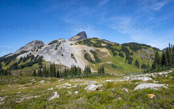 Black Tusk Volcanic Mountain