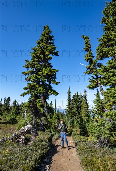 Young man on a hiking trail in the forest