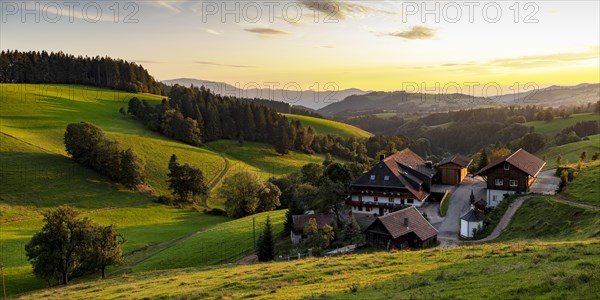 Farm in the evening light