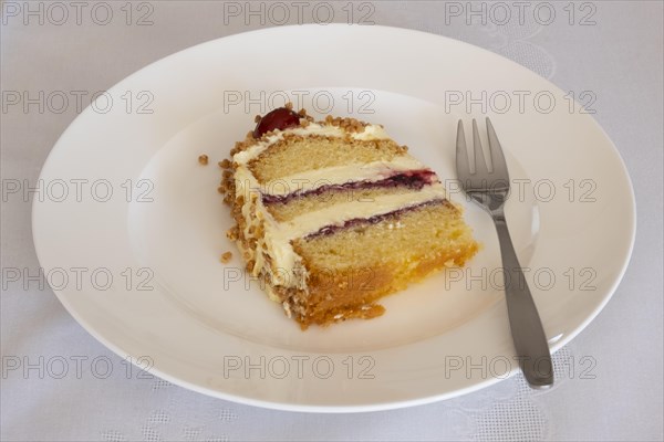 Plate with piece of cake