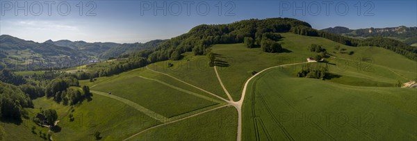 Farmland and fork in the road in summer