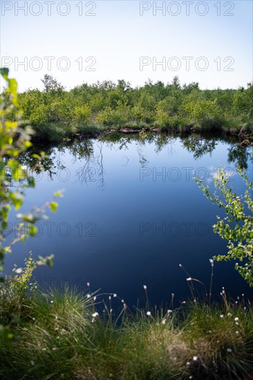 Landscape photograph Rehdener Geestmoor