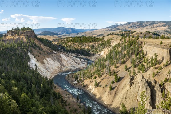 View from Calcite Springs Overlook on Canyon with Yellowstone River