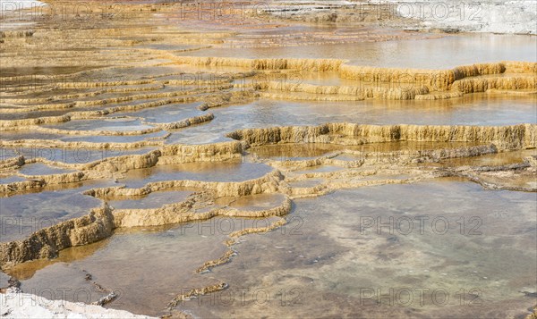 Sinter terraces