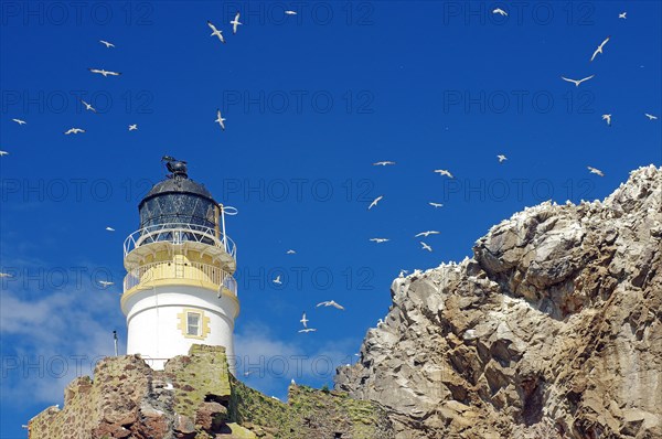 Lighthouse and cliffs