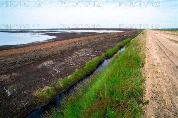 Moor landscape photograph