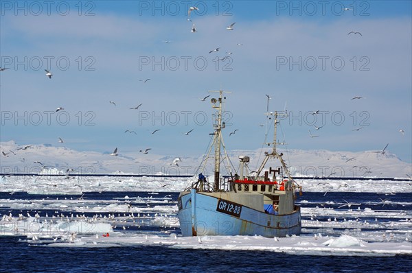 Small fishing boat in front of huge icebergs and drift ice