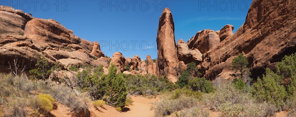 Rock formations in Devil's Garden