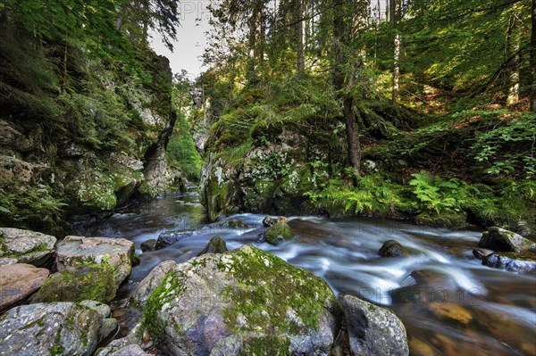 Haslachschlucht