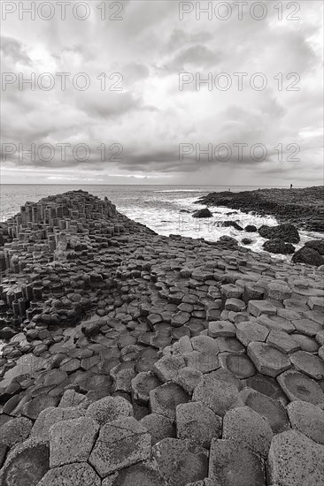 Coast with Basalt Columns