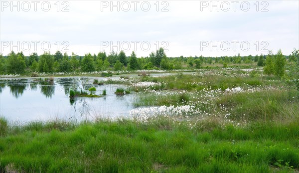 Landscape photograph Rehdener Geestmoor