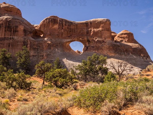 Tunnel Arch