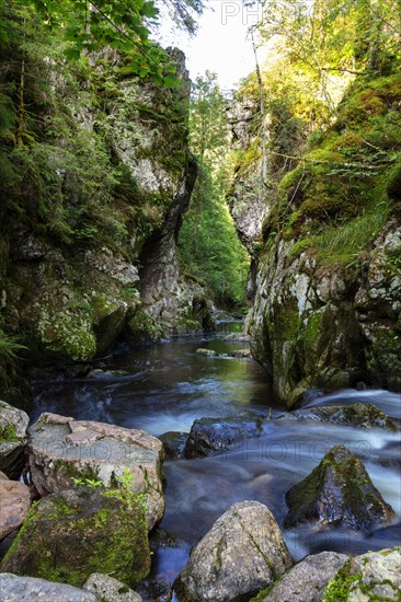 Haslachschlucht