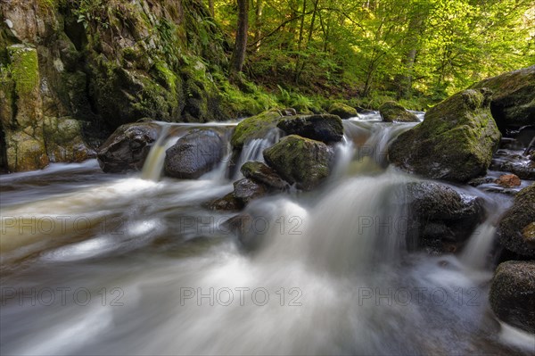 Haslach Gorge