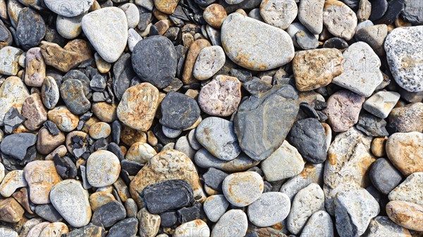 Various flat stones rounded by the sea