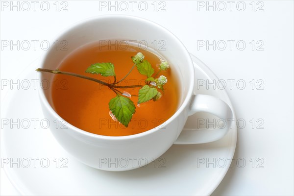 Aztec sweet herb and cup of tea