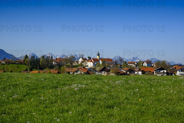 Wildsteig