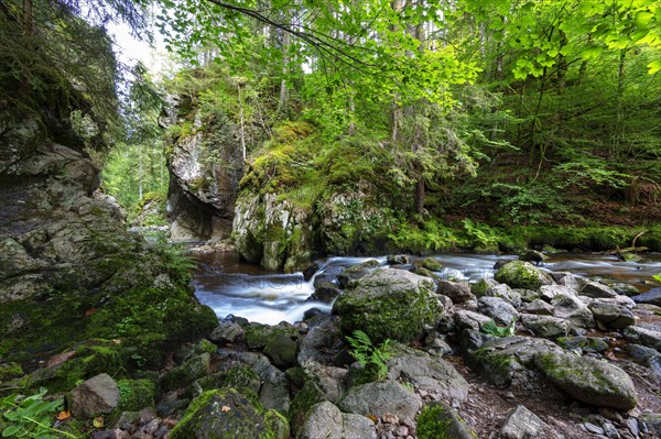 Haslachschlucht