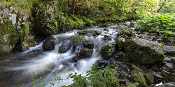 Haslach Gorge