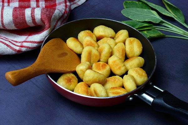 Fried potato gnocchi in pan