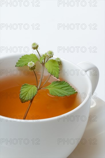 Aztec sweet herb and cup of tea