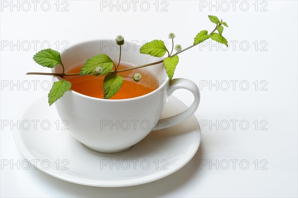 Aztec sweet herb and cup of tea